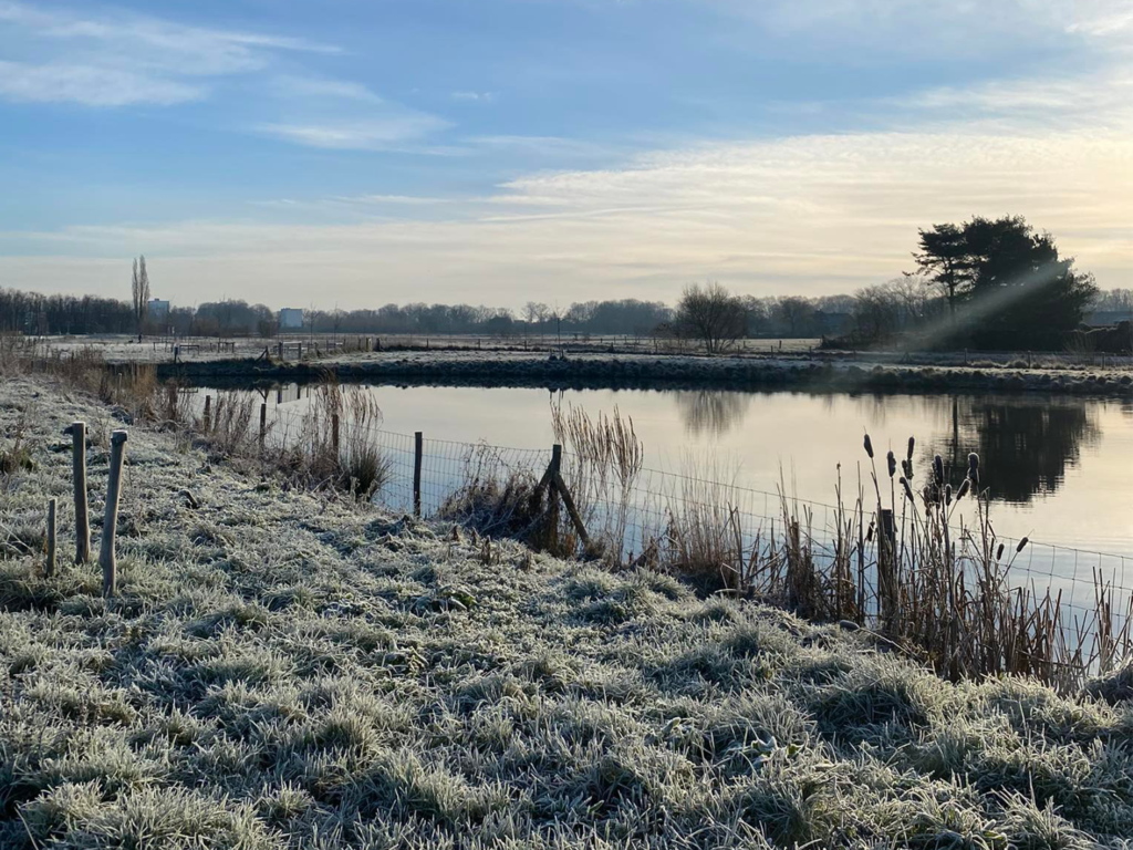 Winter op De Hei